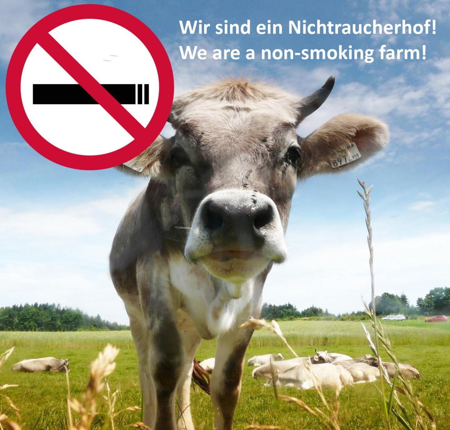 Bio Archehof Zachhiesen - Stay & Relax เซเคอเคน อัม วัลเลอร์ซี ภายนอก รูปภาพ